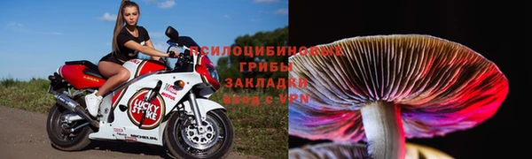 прущие крисы Балабаново