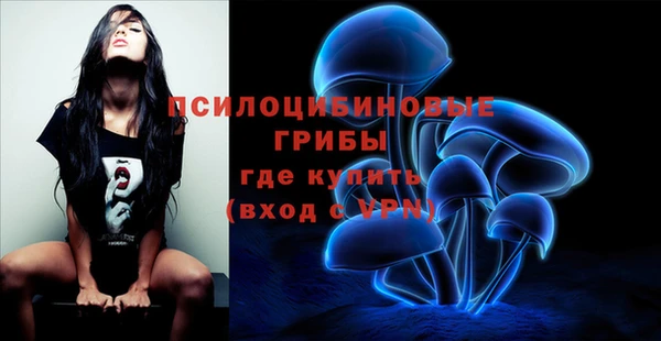 гидропоника Балахна