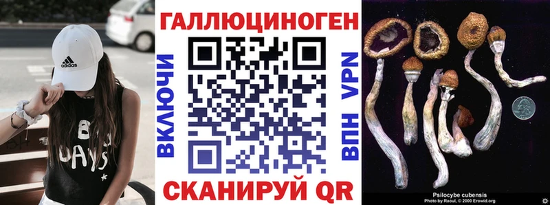 Купить  Обь  Галлюциногенные грибы MAGIC MUSHROOMS 
